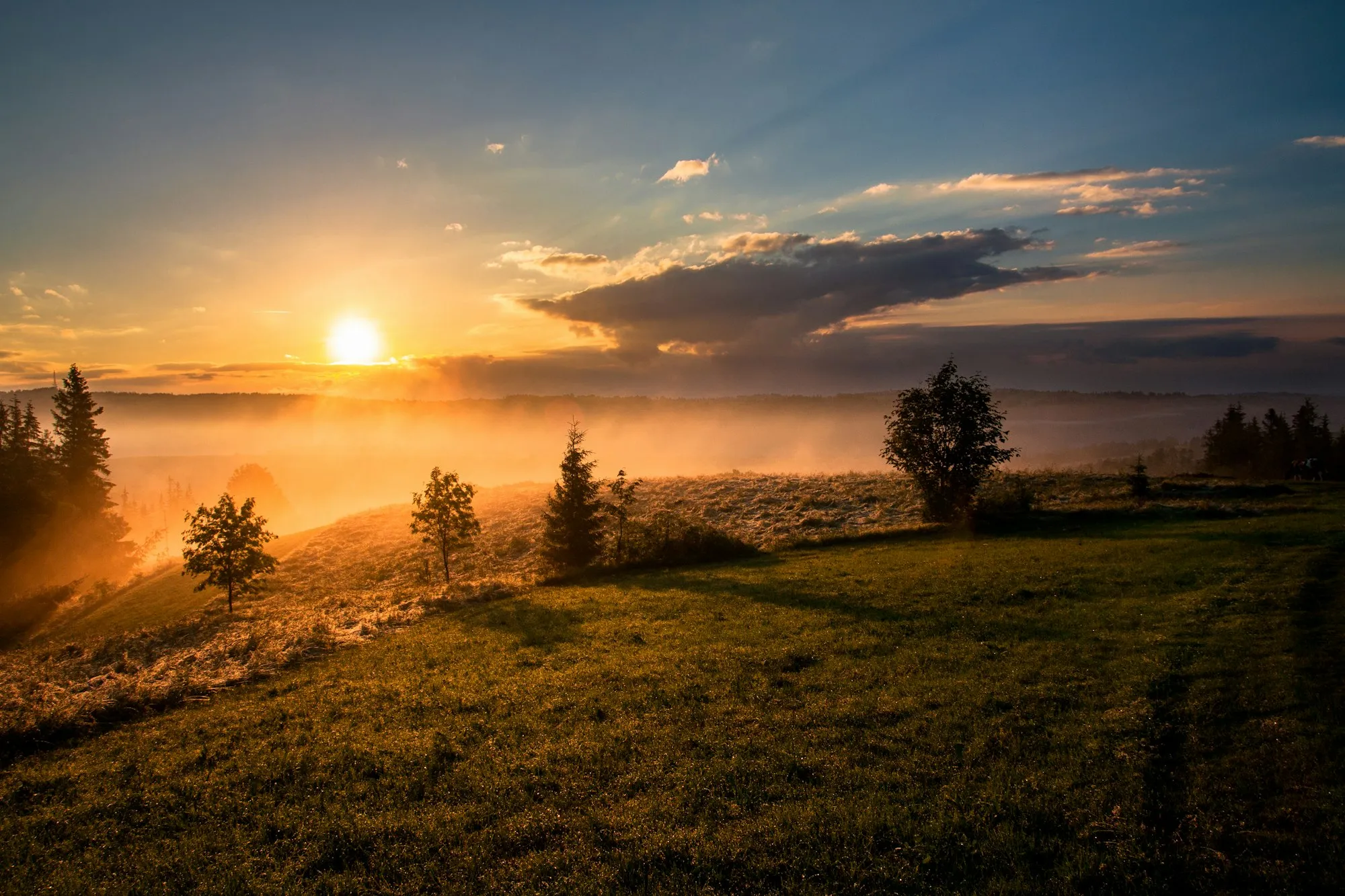 First light over open fields at dawn